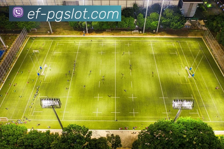 PG电子官网APP 封面图